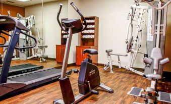 a well - equipped gym with various exercise equipment , including a stationary bike and a treadmill , in a well - lit room at Comfort Suites Gadsden Attalla