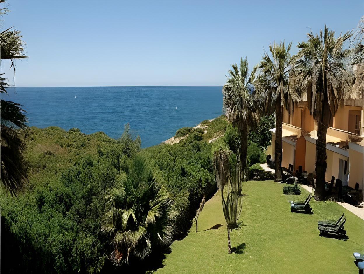 标准一卧室公寓