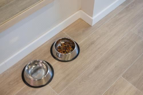 高级两卧室公寓