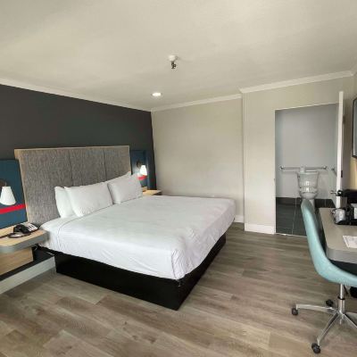 標準房， 1 張特大床， 無煙房， 冰箱和微波爐 羅伊套房酒店 - 薩克拉門託市中心優惠