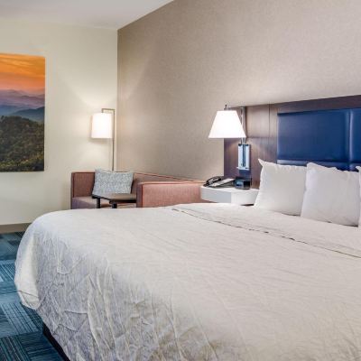 Mobility Hearing Accessible King Room with Roll in Shower Hampton Inn Johnson City Promo Code
