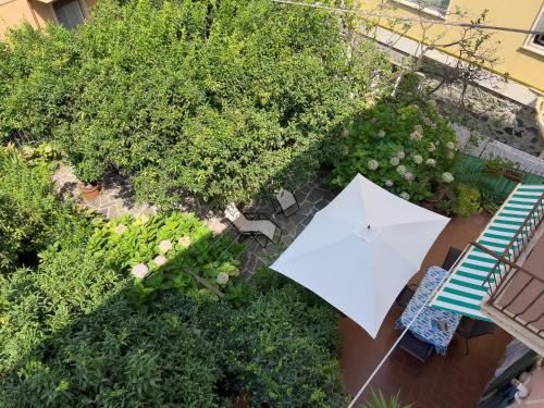 公寓 - 地面楼层