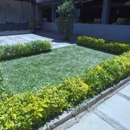 Reva Place Resort