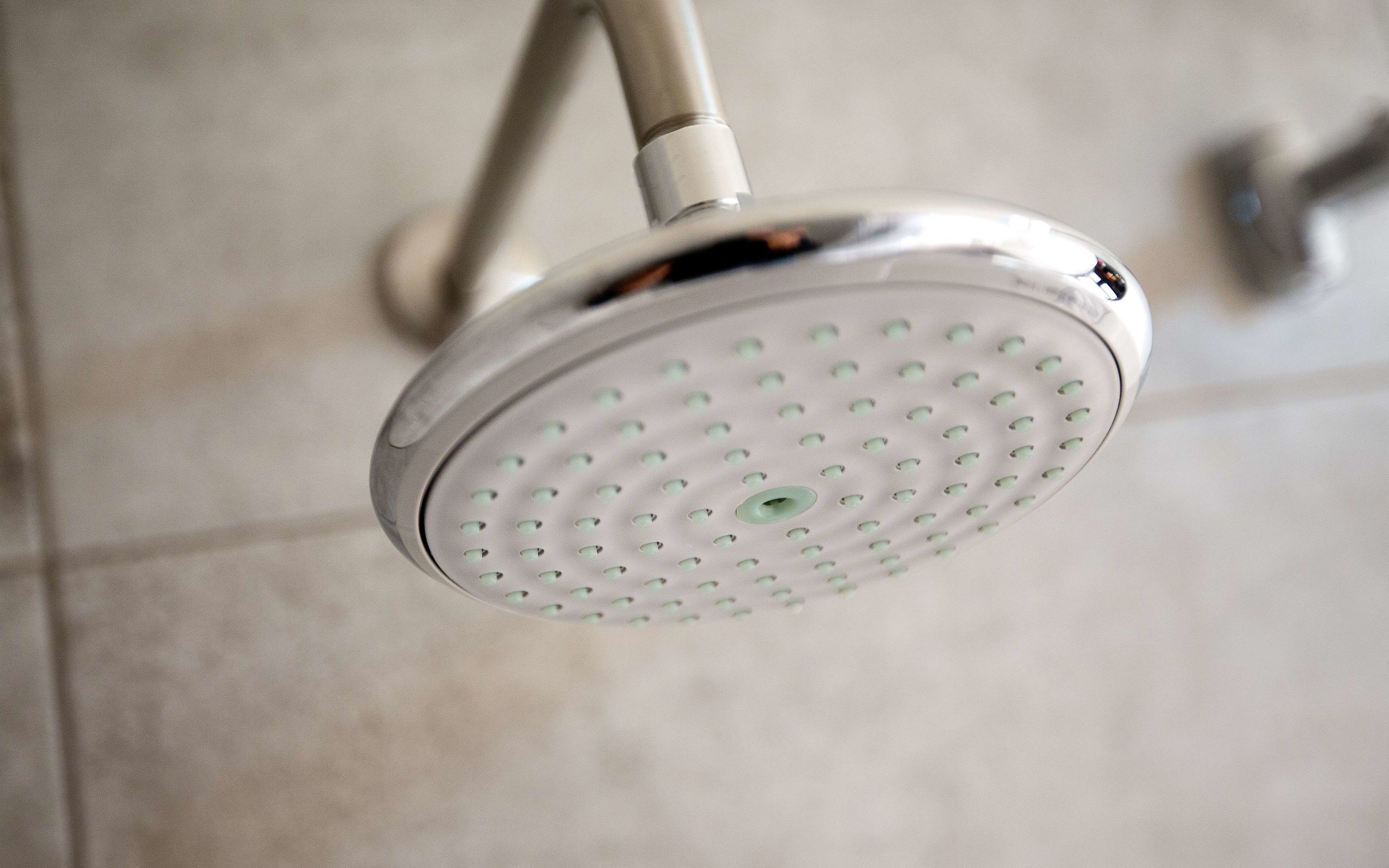 Coast Premium Two Doubles