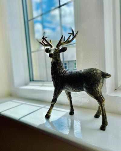 高级双人或双床房