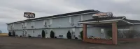 Amber Inn Motel Hotele w: 