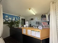Budget Motel