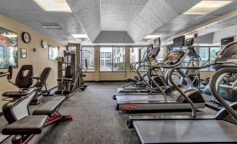 a well - equipped gym with various exercise equipment , including treadmills and weight machines , in a spacious room with large windows at Buffalo Airport Hotel