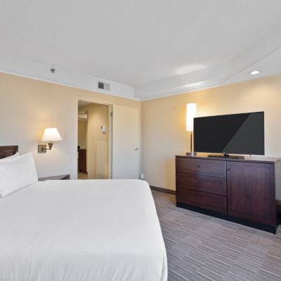 Suite, 1 King Bed With Sofa Bed (Ada) Harmony Suites Promo Code