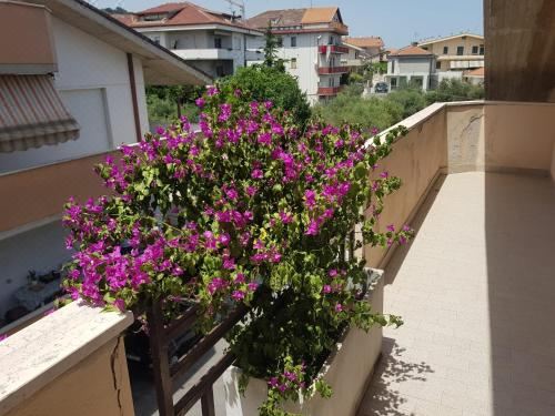 海景三卧室公寓