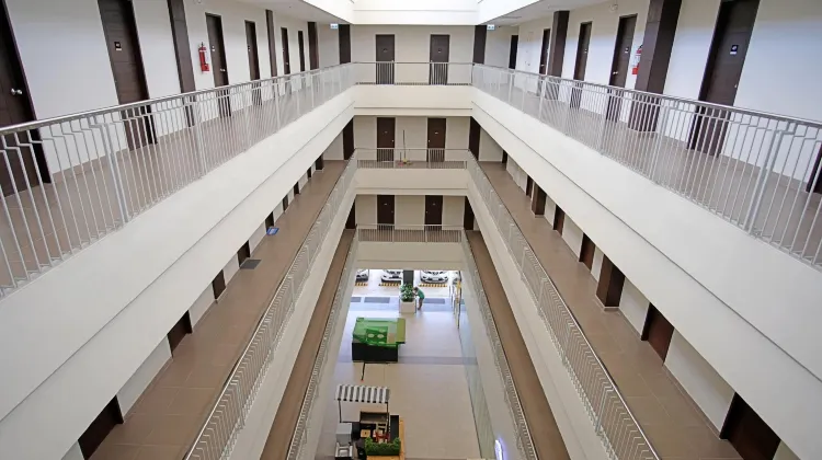 Sukro 食事・レストラン