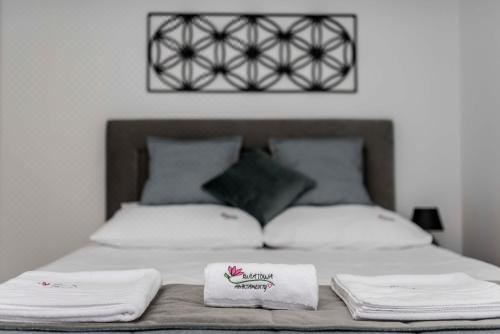 开放式客房， 山景