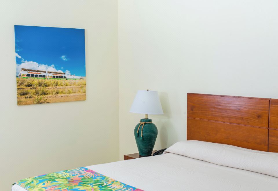 高级房， 海洋景观， 临海