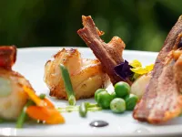 The Fishbourne Hotels in Ryde
