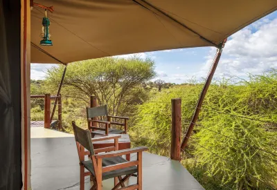 Tarangire Kuro Treetop Lodge Hotéis em 