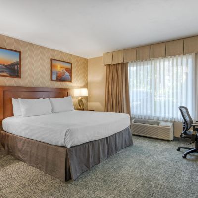 Queen Room Best Western Seven Seas Promo Code