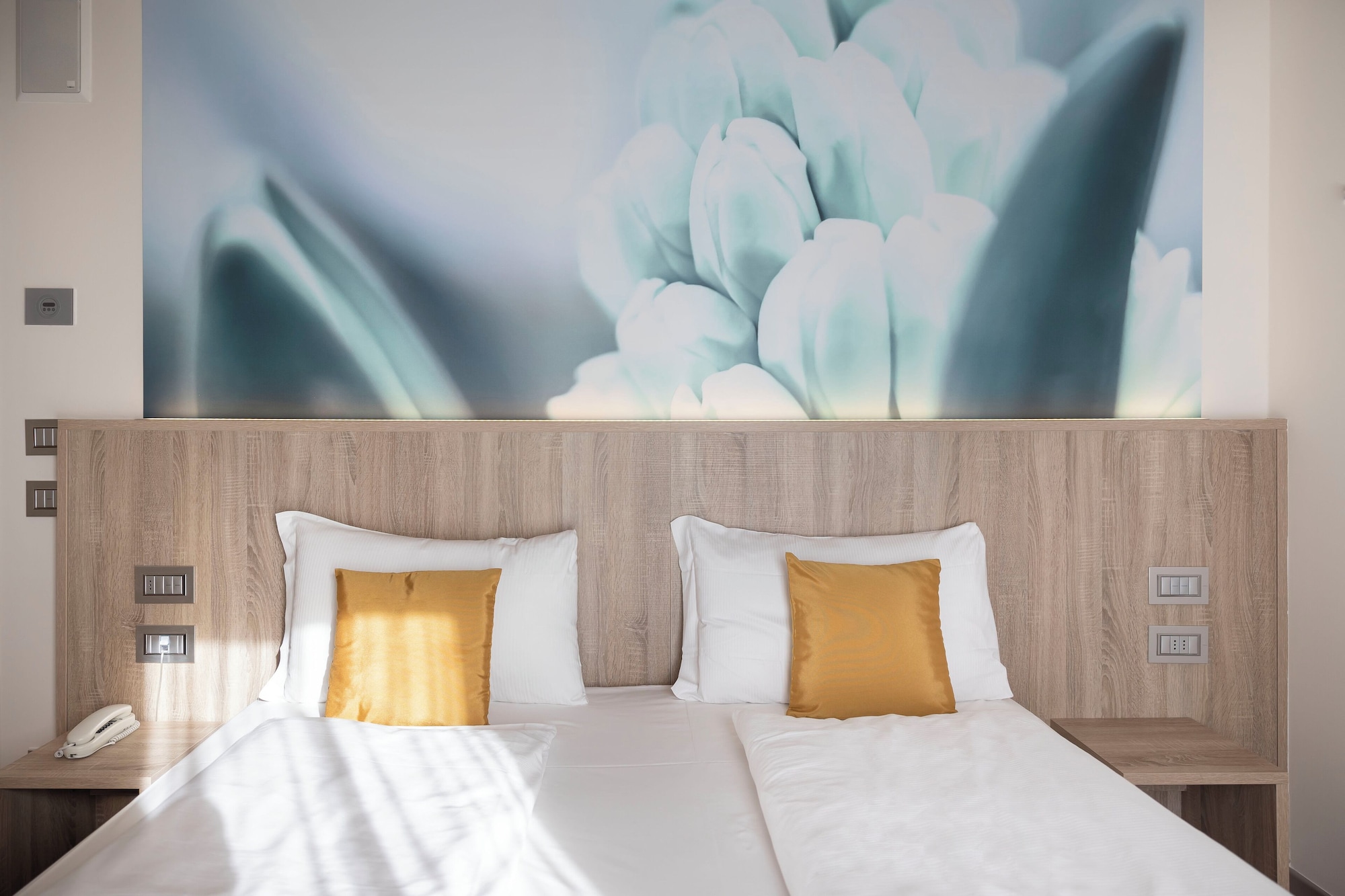 标准双人或双床房