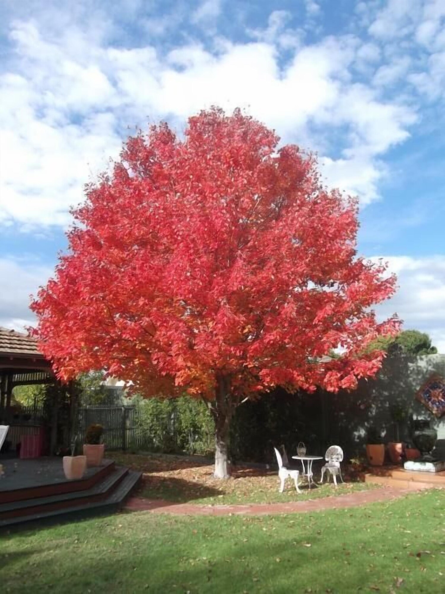 帶花園的一臥室公寓