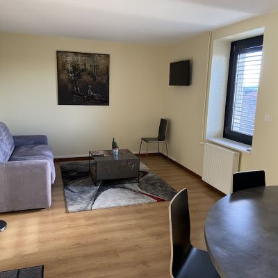 Business Apartment, 1 Double Bed with Sofa Bed, Non Smoking, Garden View