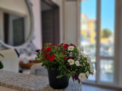 双人间 - 带庭院