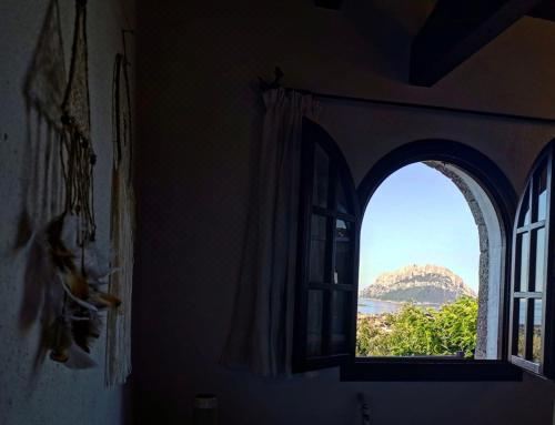 小型套房（带海景的）