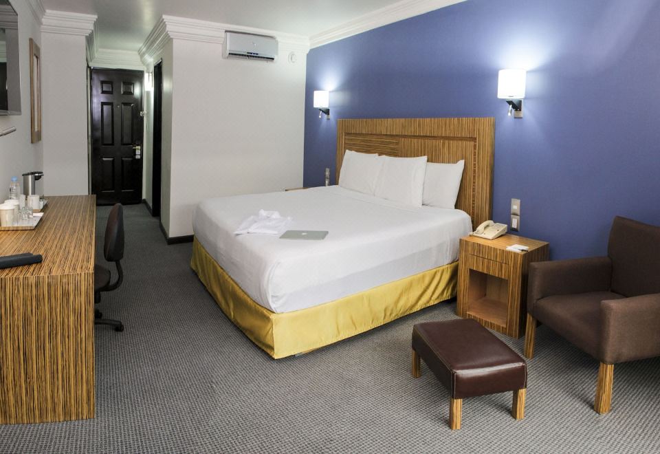 开间套房， 1 张特大床， 无烟房， 花园