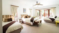 Storms River Guest Lodge Hotels in 