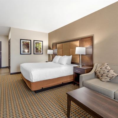 Accessible King Room with Shower 欣頓貝斯特韋斯特優質套房酒店優惠