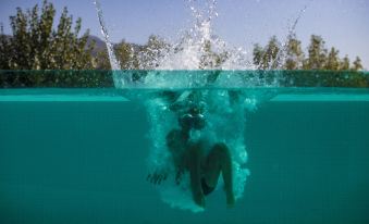 One Suite Hotel - Housity