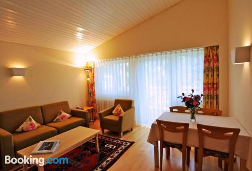 Appartementhaus Regina am Schluchsee 一卧室公寓