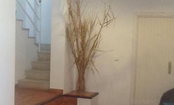 Apartamentos Villa Nadine - Housity
