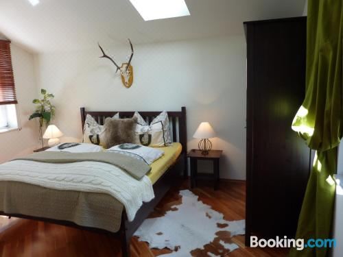 Landhaus Frank Three-Bedroom Apartment with Balcony and Terrace