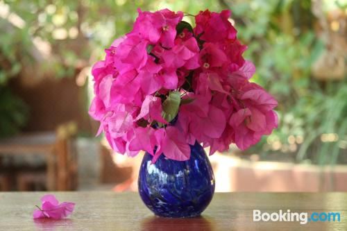 带共用浴室的园景双人间