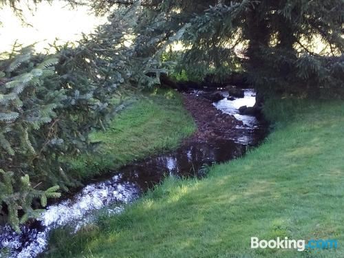 高级两卧室公寓