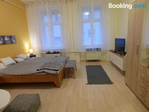 享有花园景致的公寓