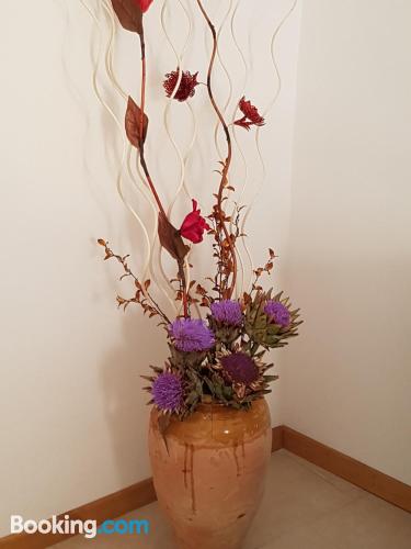 公寓 - 地面楼层