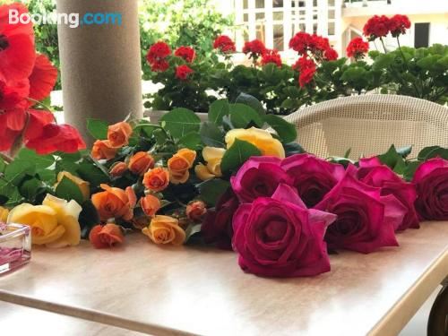 豪华双人或双床房