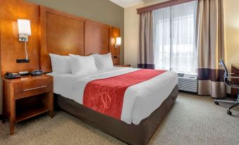 Comfort Suites Newark - Harrison