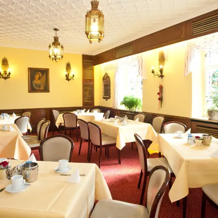 Hotel Strauss Отели в г. Хоф