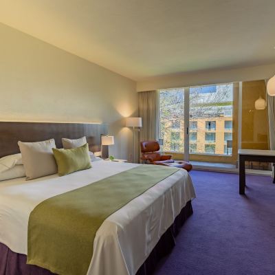 卡米諾皇傢俱樂部特大床房 卡米奧真實酒店優惠