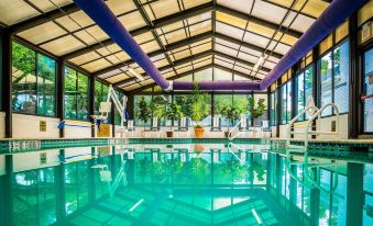 an indoor swimming pool with a glass roof , allowing natural light to fill the space at The Madison Hotel