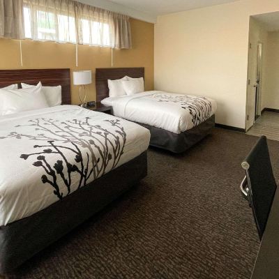 2 Queen Beds Room, Non-Smoking Sleep Inn Promo Code