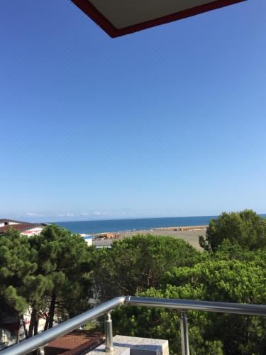 侧面海景家庭间