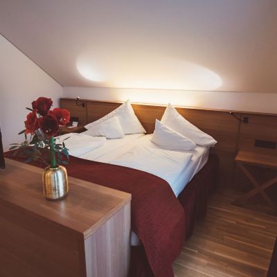 小型雙床或雙人房（德式雙床） 哈爾施塔特歷史酒店優惠