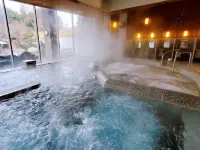 Igashira Onsen Chat Palace فنادق في موكا