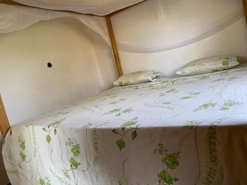 别墅（带独立泳池）