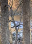 Pappys place at Smoke Hole