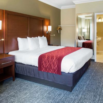 King Room-Accessible-Non-Smoking 北舊金山機場舒適套房酒店優惠