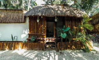 ECo.bañitas Hotel - Housity