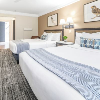 Deluxe Room-2 Queen Beds Inn at Mount Shasta Promo Code